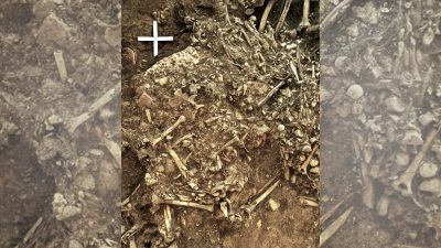 Pest-Erreger in 5.000 Jahre alten Grab in Schweden gefunden