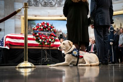 Labrador Sully erweist verstorbenem US-Präsidenten Bush die letzte Ehre