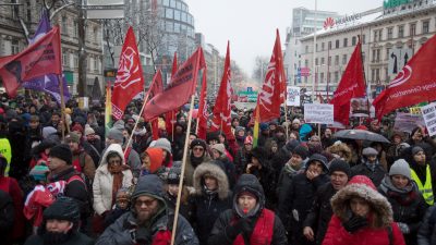 Demonstration ein Jahr nach Bildung von konservativer Regierung in Wien