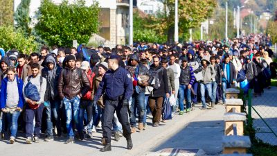 Kroatien: NGO schiebt Migranten illegal über „grüne“ Grenze ab