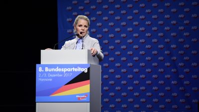 AfD-Vorsitzende in Schleswig-Holstein legt Amt nieder – Kritik am AfD-Bundesvorstand