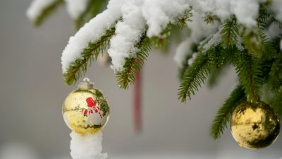 Integrationsbeauftragte lässt auf Grußkarte „Weihnachten“ weg