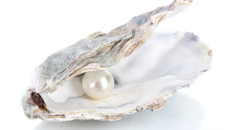 Größte Perle der Welt – Fischer bewahrte 100-Millionen-Dollar-Schatz unterm Kopfkissen
