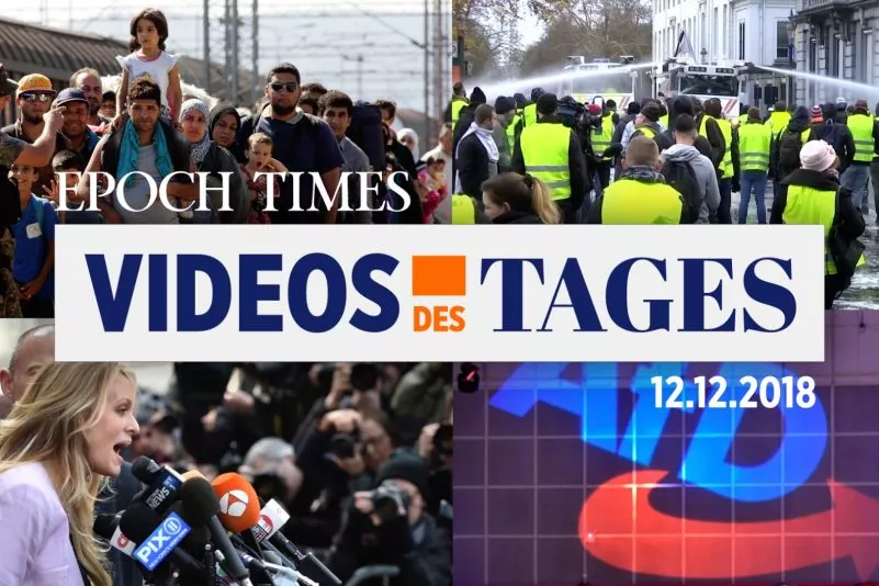 top-article-image