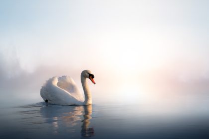 Hymne – Lebten je wir nicht? – Von Christian Morgenstern
