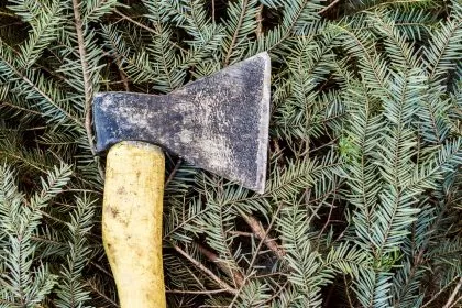 Beil-Attacke in Bochum: 21-Jähriger lebensgefährlich verletzt – Betrunkener Täter drang in Wohnung ein