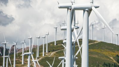Wer Wind erntet … oder Altmaiers „Kathedralen der Energiewende“