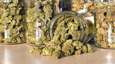 „Depressionen und Schizophrenie“: Drogenbeauftragte Mortler warnt vor Cannabiskonsum