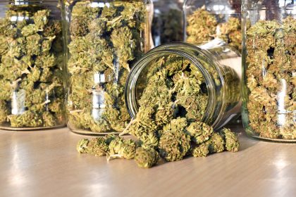 „Depressionen und Schizophrenie“: Drogenbeauftragte Mortler warnt vor Cannabiskonsum