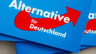 SWR: Zwei AfD-Vizefraktionschefs in Baden-Württemberg zurückgetreten