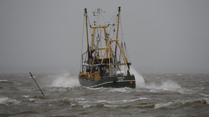 Weniger Hering für deutsche Fischer nach EU-Einigung