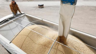 Scholz findet EU-Zölle für russisches Getreide „richtig“