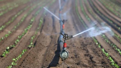 Trinkwasser: Kommunale Unternehmen sehen neue Herausforderungen
