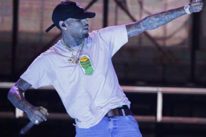 Chris Brown hat Ärger wegen eines Kapuzineräffchens