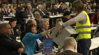 AfD berät über Europastrategie auf Parteitag in Riesa