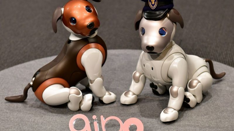 Paw Patrol: Sonys neuer Roboterhund „Aibo“ soll Familienmitglieder überwachen