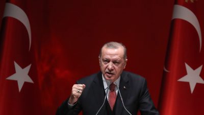 Erdogan sagt „Gemüseterroristen“ den Kampf an