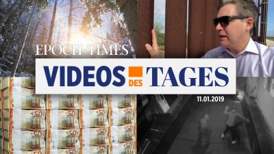 Videos des Tages: Poggenburg ist raus, gescheiterte Abschiebung, Magnitz-Video, CNN-Eigentor & mehr