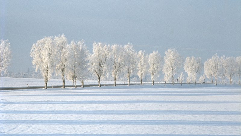 Ein winterliches Gedicht – Von Alexander Puschkin