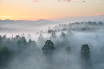 Musik am Abend: Die Ungarische Philharmonie mit den Sinfonien „Morgen, Mittag, Abend“ von Haydn