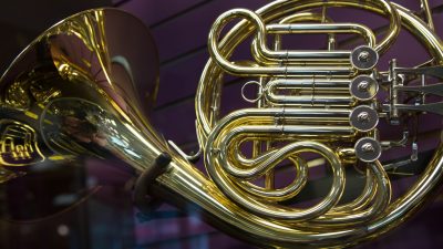 Musik am Abend: Streicherquintett mit Horn – von Mozart