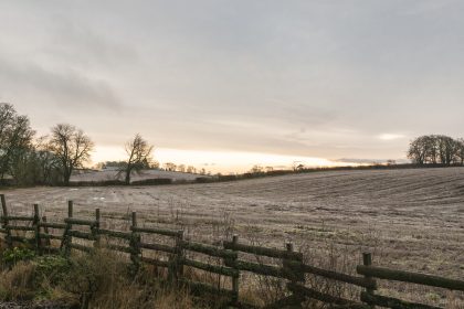 EU-Agrarpolitik vernichtet kleine Bauernhöfe