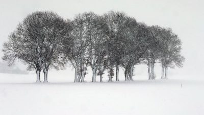 Es schneit weiter in Bayern – Strecken gesperrt