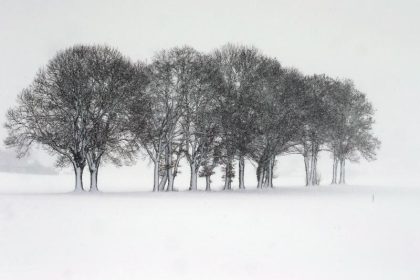Sturm im Norden, Schnee-Atempause im Süden
