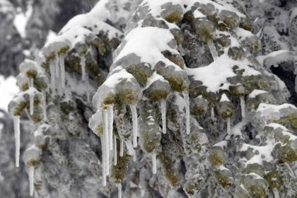 Wetterdienst warnt vor starkem Schneefall und Schneeverwehungen