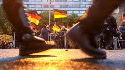 Linken-Politiker: „Chemnitz hat gefestigte Nazi-Strukturen“