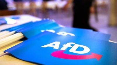 Ex-Verfassungsrichter kritisiert Haldenwang im Umgang mit der AfD: Partei wird „Ruch des Extremismusverdachts“ angehängt