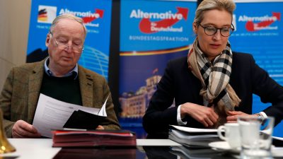 „Spiegel“: AfD legte Bundestag in Teilen falsche Spenderliste vor