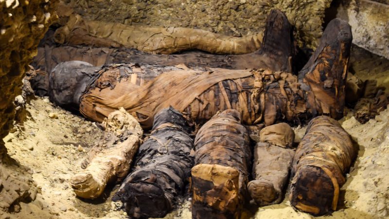 Ägypten: Grab mit über 40 „gut erhaltenen“ Mumien gefunden
