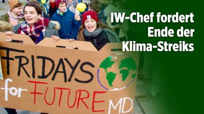 Fridays-for-Future-Bewegung: IW-Chef fordert Ende der Streiks