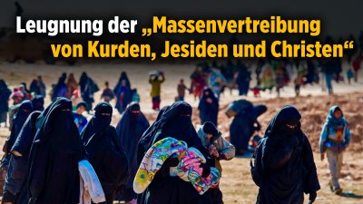 Linken-Fraktionsvize: Bundesregierung leugnet „die Massenvertreibung von Kurden, Jesiden und Christen“