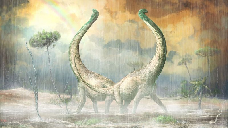 Ein Dino mit Herz im Schwanz: Neu entdeckter Titanosaurus besaß herzförmige Knochen