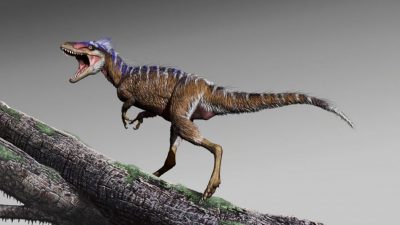 „Vorbote des Untergangs“: Mini-Vorfahren geben Einblick in den Aufstieg von T. rex