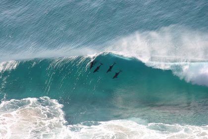 Hai greift Surfer in Australien an und verletzt ihn