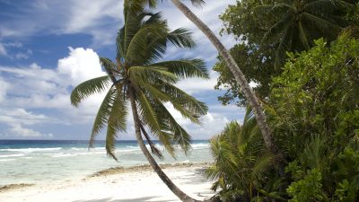 UN-Gericht: Kolonisation beenden – London muss „schnellstmöglich“ Kontrolle über Chagos-Inseln abgeben
