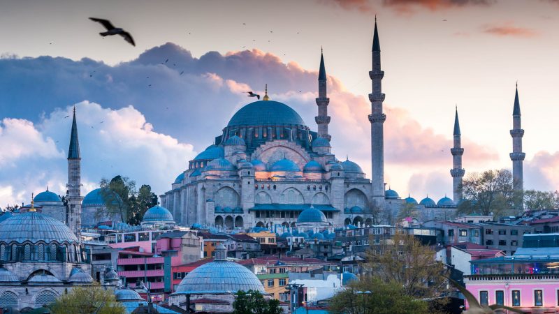 Asylbewerber leistet sich Schönheits-OP in der Türkei