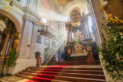 Kardinal kritisiert Papst und sagt: “Kein Mensch ist gottgewollt als Homosexueller geboren”