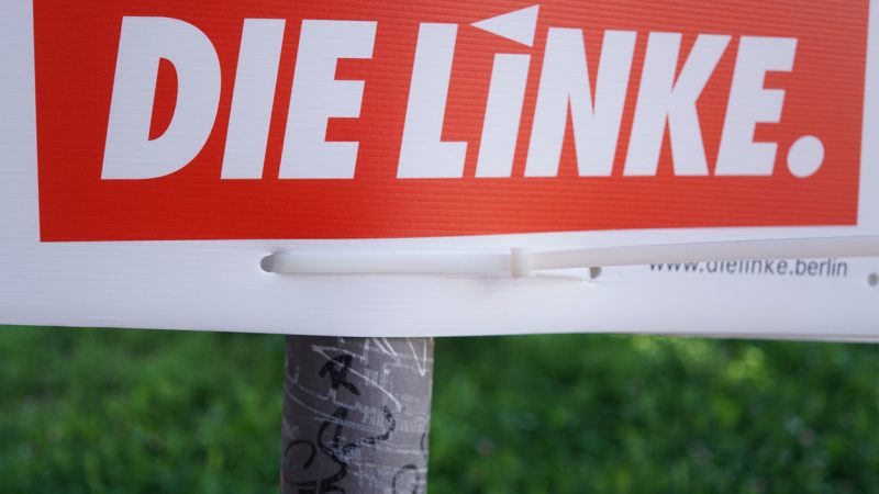 Linke will mit zwei wenig bekannten Gesichtern in den Europawahlkampf ziehen