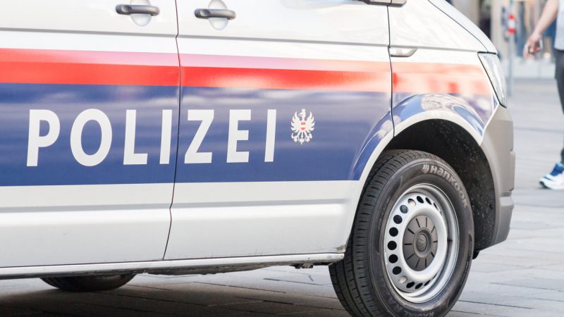 Mordanklage enthüllt Behördenversagen in Wien –  Fünffache Mutter könnte noch leben
