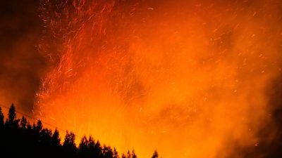 Südkorea: Regierung ruft Notstand wegen riesigen Waldbrandes aus