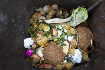 Gegen Lebensmittelverschwendung: Klöckner setzt auf intelligente Verpackungen