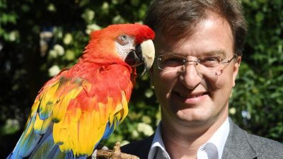 Papagei von Pippi Langstrumpf gestorben