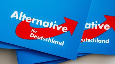 Bundestag: Unverständnis über Sondersitzung der AfD-Fraktion