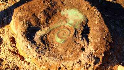 Gehörnte Figur und zeremonielle Axt aus der Bronzezeit in Dänemark entdeckt