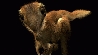 Gehüllt in einen Mantel aus Daunenfedern: Waren T. rex-Babys flauschige Plüschbälle?