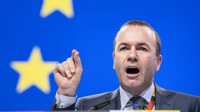 EVP-Spitzenkandidat Manfred Weber: Werde als EU-Kommissionschef Nord Stream 2 verhindern